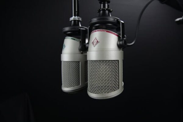 Photo by Pixabay: https://www.pexels.com/photo/two-gray-condenser-microphones-270288/