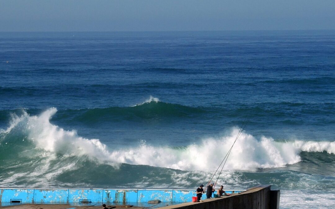 Preparing for the Waves to Come in 2021