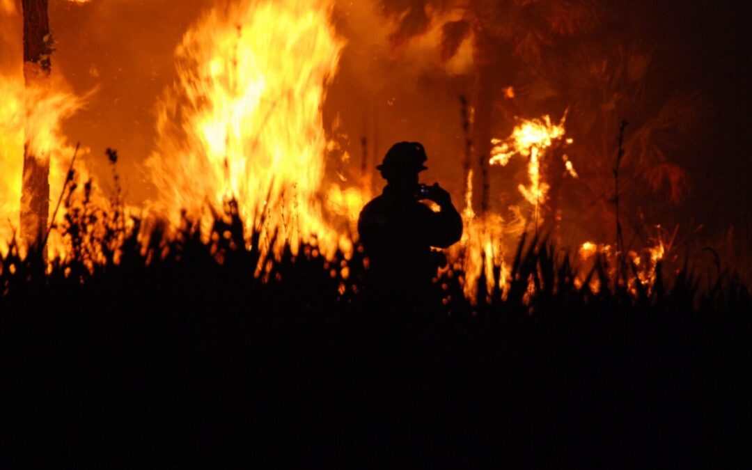 Wildfires and another link between the mouth and lungs