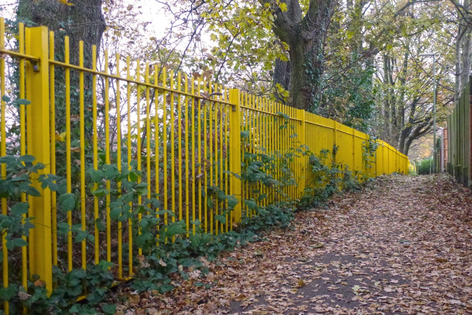 Fence-scaled