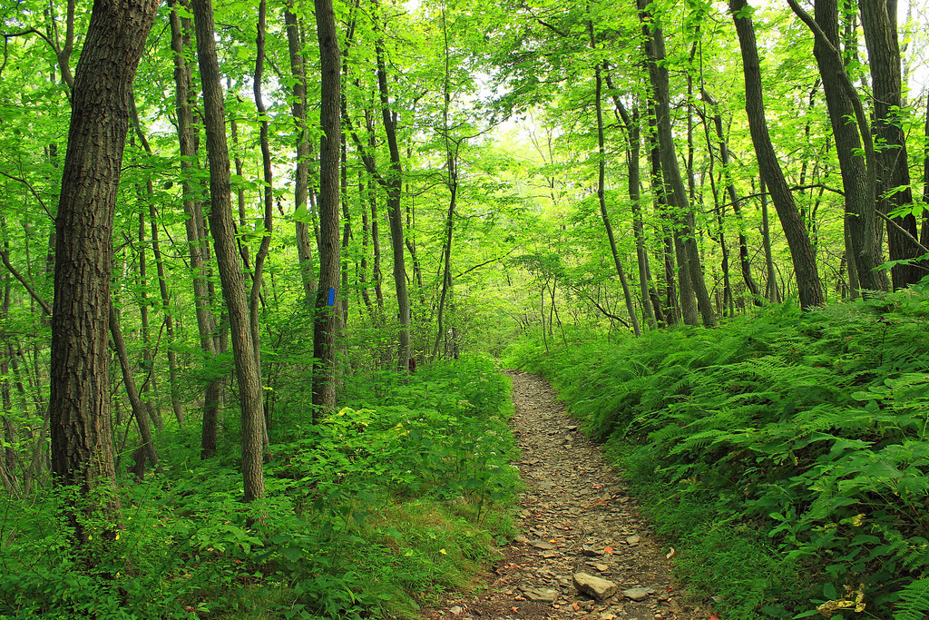 Short-Hike