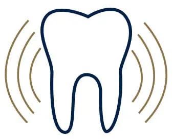 occlusal-muscle