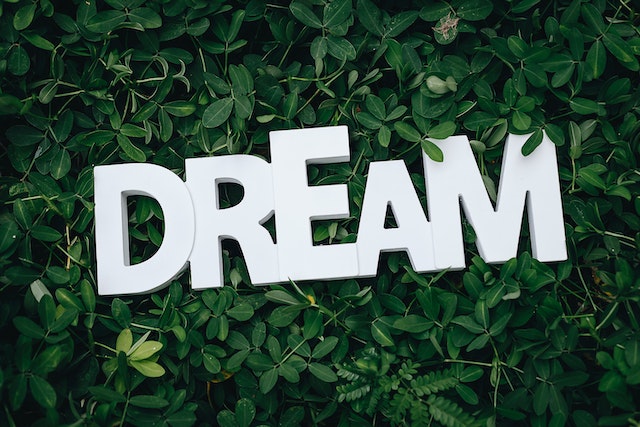 reminder-you-dreamed-of-where-you-are-now